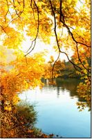 product-compare-58702808