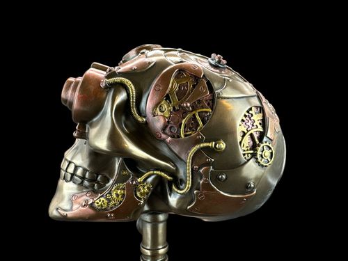 Czaszka na podstawce Steampunk VERONESE WU76570V4 na Arena.pl