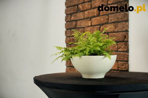 DONICZKA PLANET 260 A1 na Arena.pl