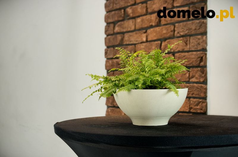 DONICZKA PLANET 260 A1 zdjęcie 5