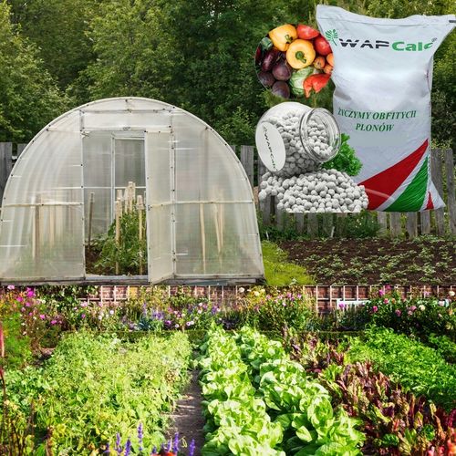 Wapno Granulowane do Trawnika Anty Mech 24,4 kg Nawóz Ogrodowe na Arena.pl