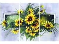 product-compare-58677672