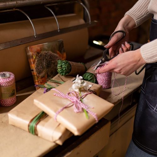 Nożyce do Bonsai GT296 na Arena.pl