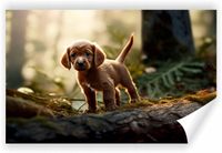 Fototapeta PREMIUM STRUKTURA ZMYWALANA POD WYMIAR szczeniak w lesie
