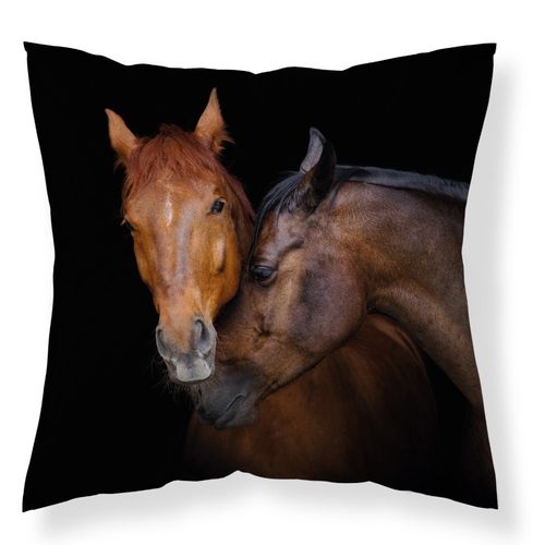 Poszewka Na Poduszkę 40X40 Horses Mf 020 na Arena.pl