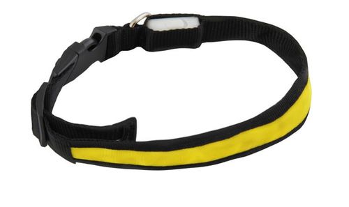 Obroża LED żółta - M na Arena.pl