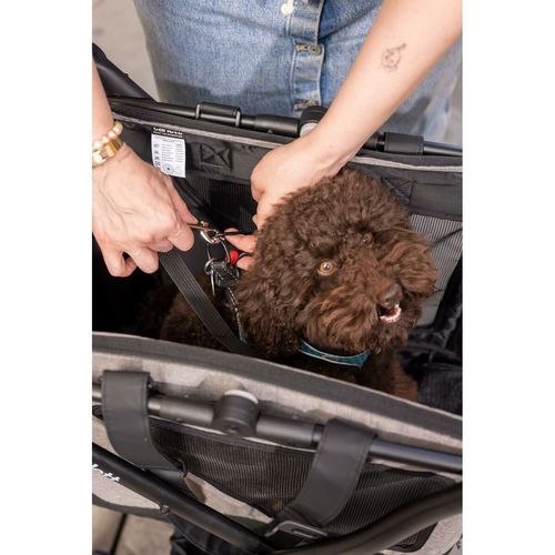 Wózek na Zakupy Carlett CUBE P RUBY Czerwony na Arena.pl