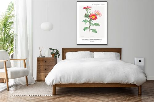 Plakat 40x60cm Design Red Aster, Redoute Vintage do Salonu na Arena.pl