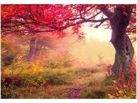 100 70CM OBRAZ PŁÓTNO JESIENNY KRAJOBRAZ PŁÓTNO RAMA