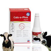 Calz-o-Phos Liquid 4x500 ml – Wapniowo-fosforowa mieszanka dla krów