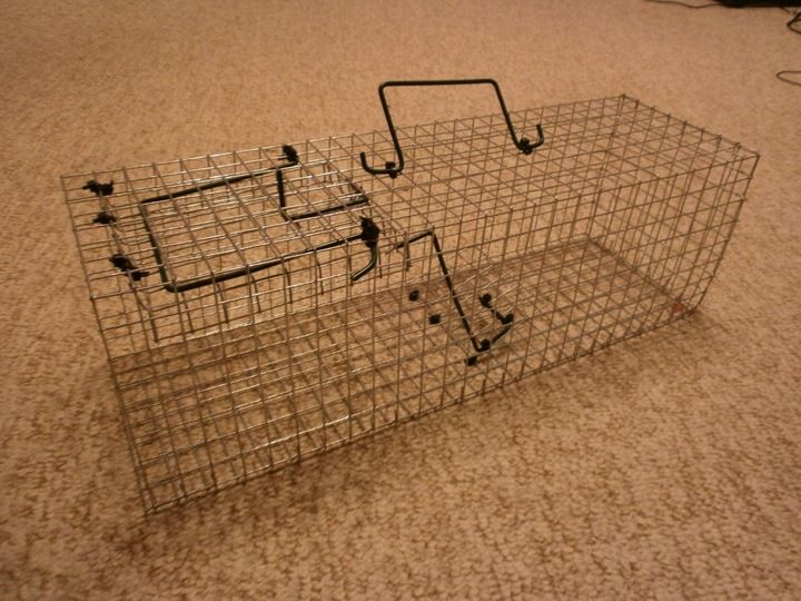 ŻYWOŁAPKA PUŁAPKA NA SZCZURY i inne 50/16/16 cm zdjęcie 4