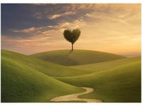 50X70CM DRZEWO SERCE OBRAZ POKOJU DREWNINE