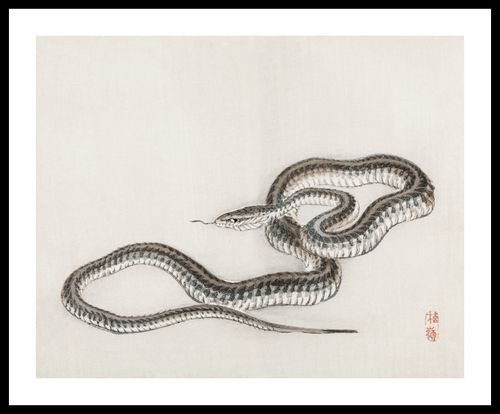 Plakat 50x40cm Snake, Kōno Bairei na Arena.pl