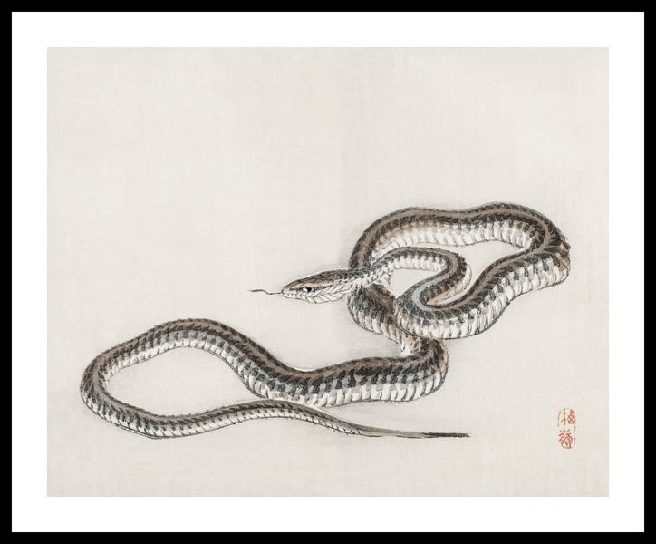 Plakat 50x40cm Snake, Kōno Bairei zdjęcie 3