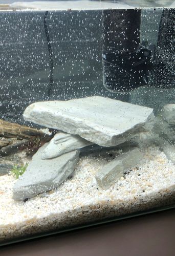 Żwirek Do Akwarium Malawi Biały Naturalny 1-4mm 8kg na Arena.pl