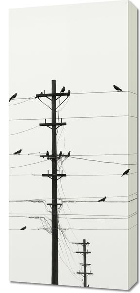 Obraz 40x90cm Symfonia na Drutach zdjęcie 1
