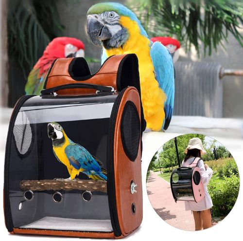 TRANSPORTER DLA PAPUG PTAKÓW NIMF ŻAKO GRZĘDA 2kol na Arena.pl