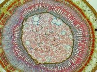 product-compare-60579309