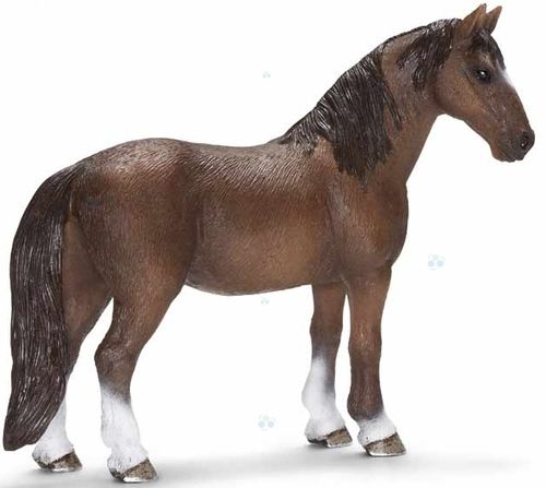 KLAR RASY TENNESSEE WALKER SCHLEICH na Arena.pl