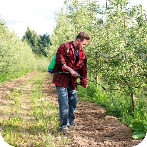 2x ROUNDUP 360 PLUS GLIFOSAT RANDAP ŚRODEK CHWASTY CHWASTOBÓJCZY 1L na Arena.pl