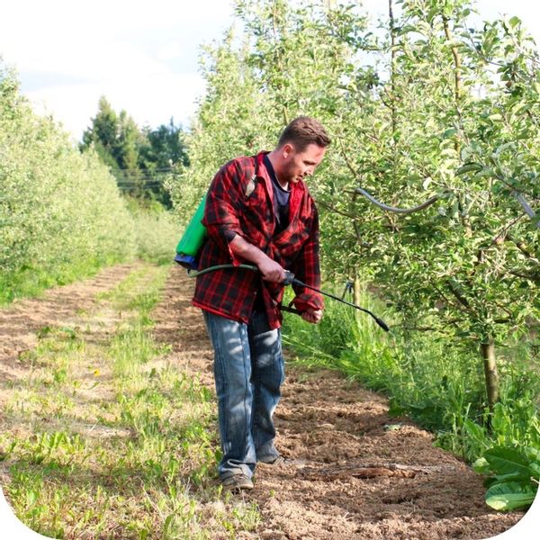 2x ROUNDUP 360 PLUS GLIFOSAT RANDAP ŚRODEK CHWASTY CHWASTOBÓJCZY 1L zdjęcie 16