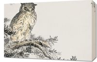 Obraz 60x40cm Japanese Scops Owl, Kashu Vintage do Salonu