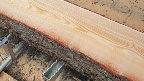 Trak taśmowy spalinowy Wood Mizer 9,5KM 560mm nowy poziomy drewna KOHLER na Arena.pl