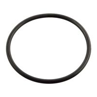 Uszczelniacz termostatu BMW 5 E39 1996 1997 1998 1999 2000 2001 2002 2003