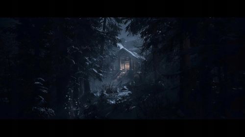 Gra PS5 Until Dawn na Arena.pl