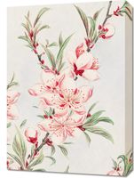 Obraz 50x70cm Peach Tree, Morikaga Japoński Vintage