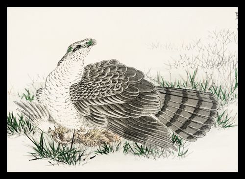 Plakat 35x25cm  Hawk-Eagle, Kashu Japoński Vintage do Salonu na Arena.pl