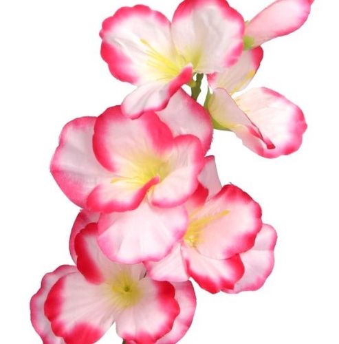 MIECZYK MIECZYKI 1SZT 57CM SZTUCZNE KWIATY ROŚLINY na Arena.pl