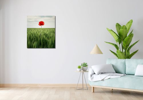 Obraz 60x70cm Samotny Mak na Polu na Arena.pl