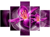 product-compare-58677313