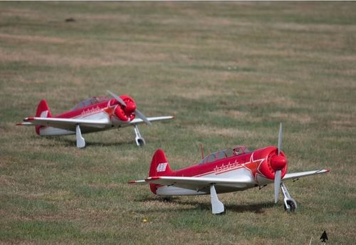 Yak-11 1450mm PNP na Arena.pl