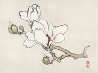 Plakat 40x30cm Magnolia, Kōno Bairei Japoński Vintage do Salonu