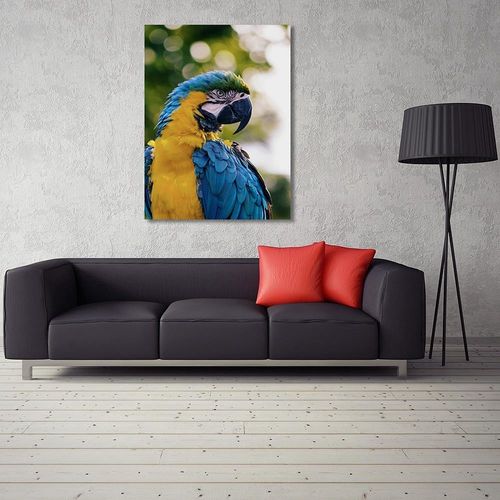 Obraz na płótnie - Canvas, Papuga Ara 50x70 na Arena.pl
