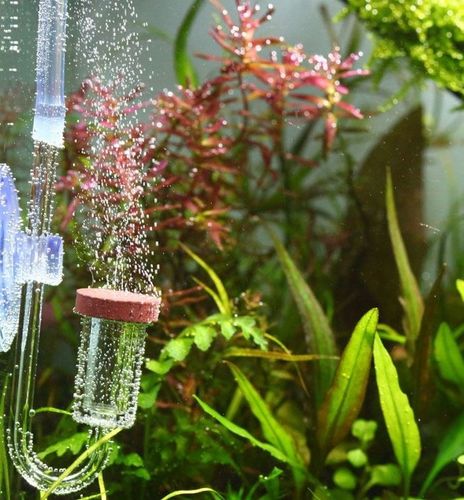 KOMPLETNY ZESTAW DO CO2 BIMBROWNIA NEO CO2 SYSTEM DO DWUTLENKU WĘGLA na Arena.pl