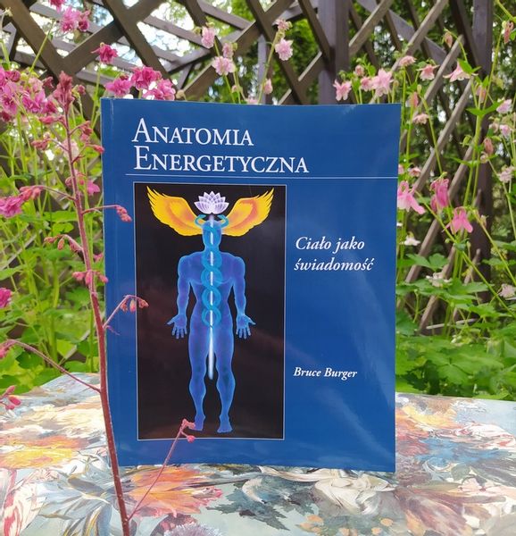 ANATOMIA ENERGETYCZNA BRUCE BURGER zdjęcie 3