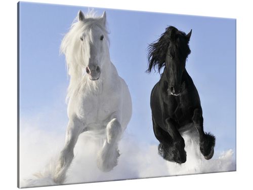 Obraz Black and white 100x70 PRODUCENT na Arena.pl