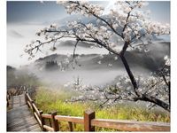 40X50CM KWITNĄCA WIŚNIA OBRAZ