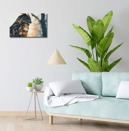 Obraz 50x30cm Sowi Duch na Arena.pl