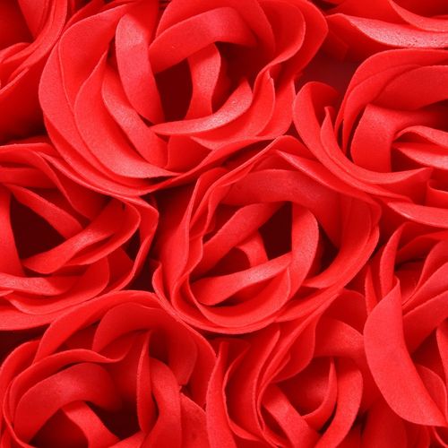 Różane Impresje na Arena.pl