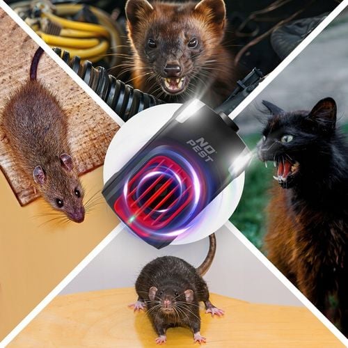 SAMOCHODOWY ODSTRASZACZ KUN MYSZY SZCZURÓW KOTÓW DO AUTA CAR SHIELD NO na Arena.pl