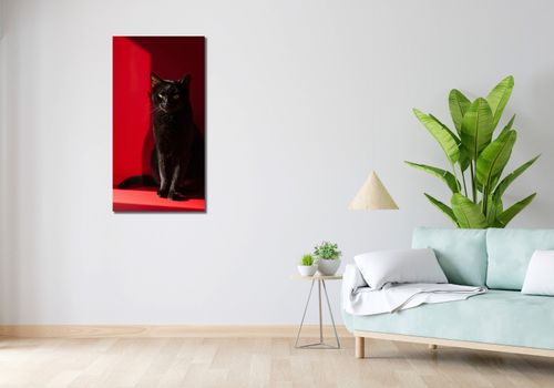 Obraz 50x100cm Elegancja w Cieniu na Arena.pl