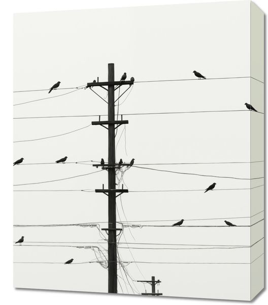 Obraz 50x60cm Symfonia na Drutach zdjęcie 1