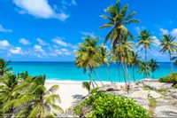 Fototapeta PLAŻA Ocean Palmy Niebo do Sypialni 360x240