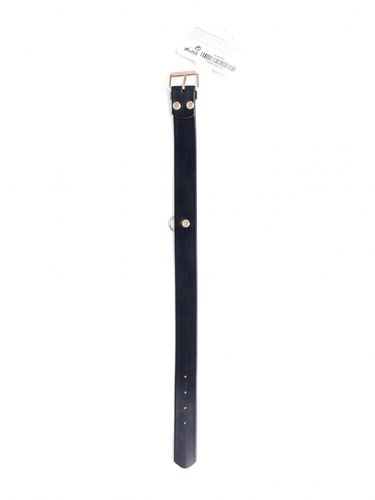 fetish b   series collar with crystals 3 cm gold na Arena.pl
