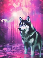 Plakat 60x80cm Wilczy Duch