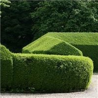 product-compare-54147856